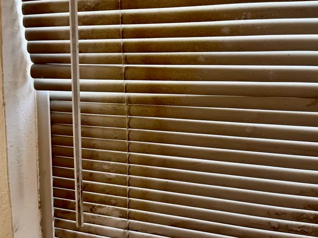 Before: living room - dust and clutter